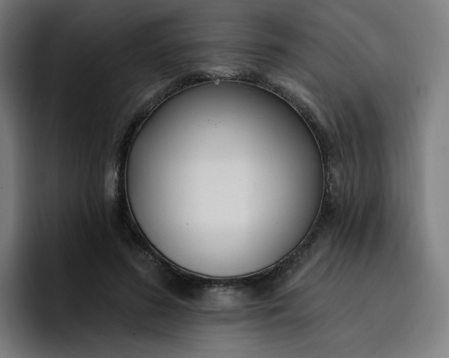 X0000096720596200802191530