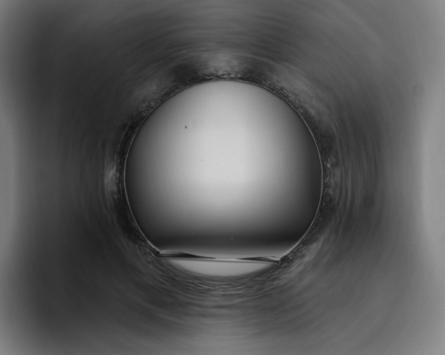 X0000096720597200802191530