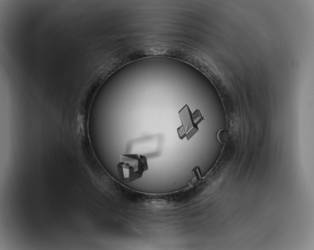 X0000096720598200802191530