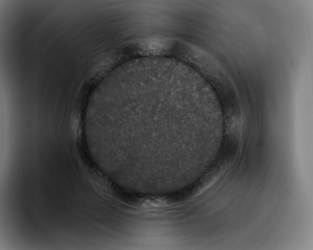 X0000096720599200802191530