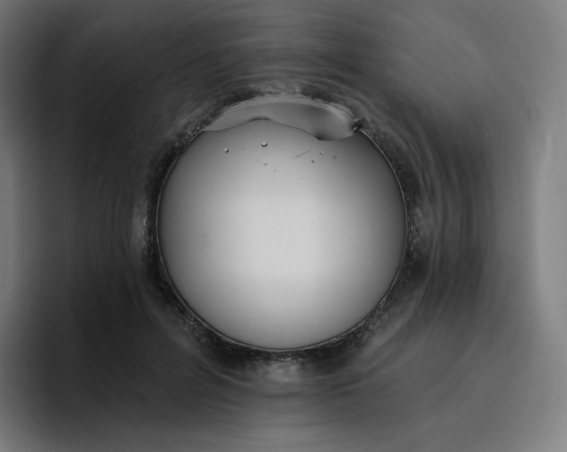 X0000096720600200802191530