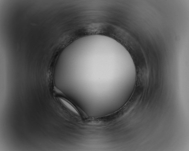 X0000096720601200802191530