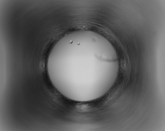 X0000096720602200802191530