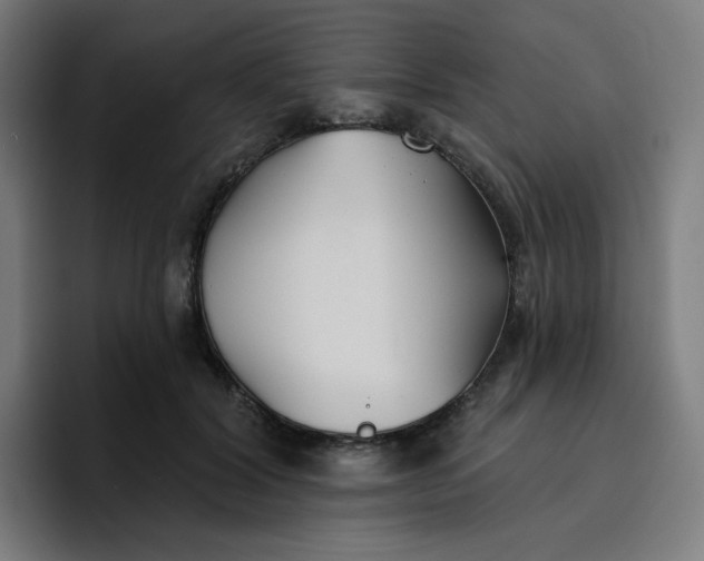 X0000096720604200802191530