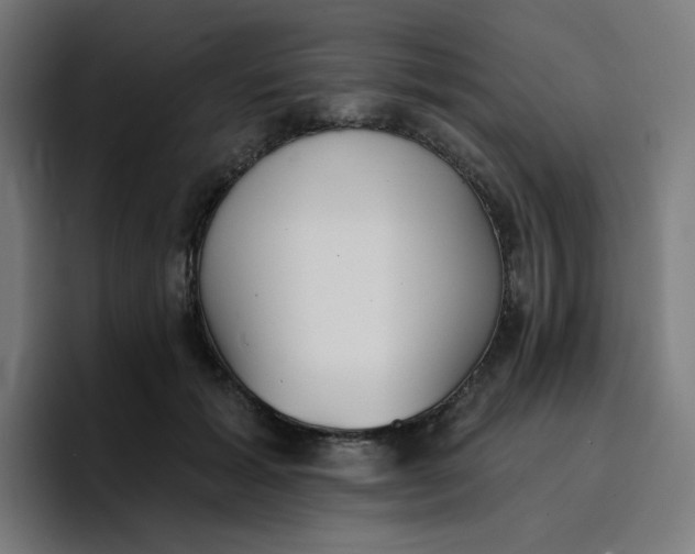 X0000096720605200802191530