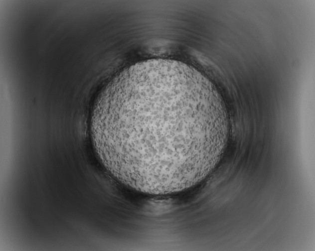 X0000096720606200802191530