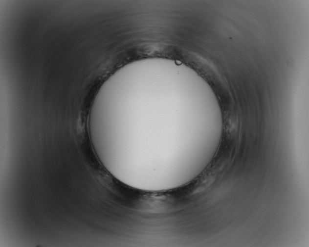 X0000096720607200802191530