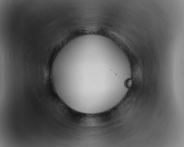 X0000096720608200802191530