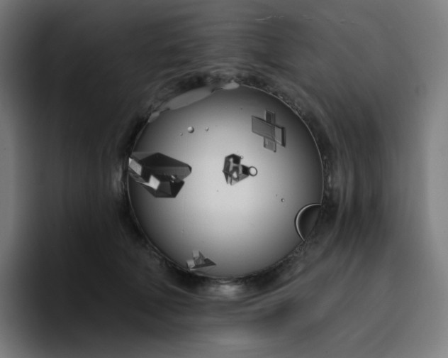 X0000096720610200802191530