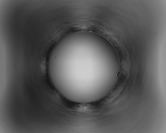 X0000096720612200802191530