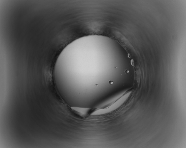 X0000096720613200802191530