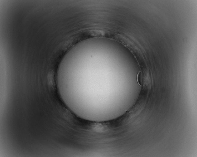 X0000096720616200802191529