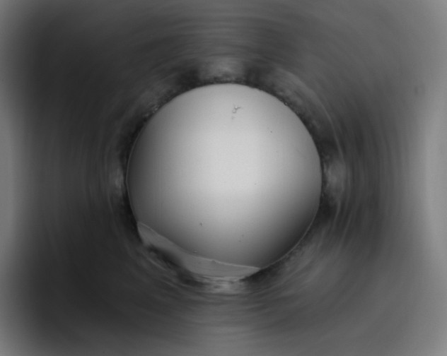 X0000096720617200802191529