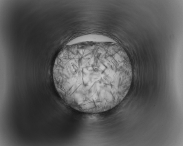 X0000096720618200802191529