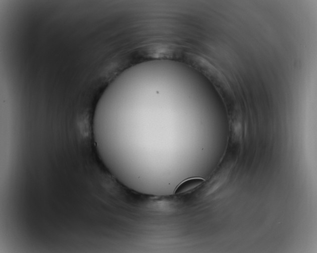 X0000096720620200802191529