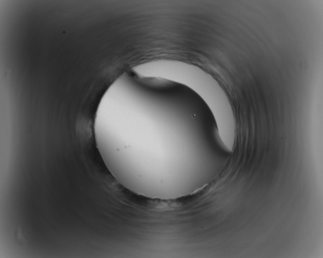 X0000096720621200802191529