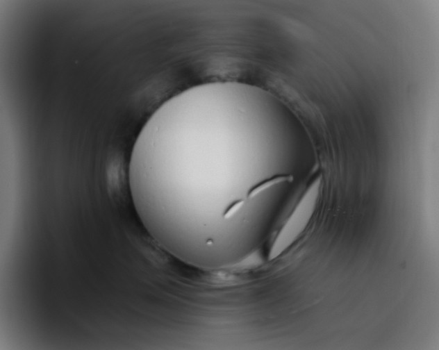 X0000096720623200802191529