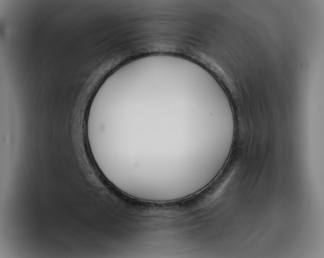 X0000096720625200802191529