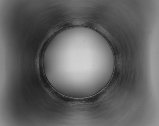 X0000096720626200802191529