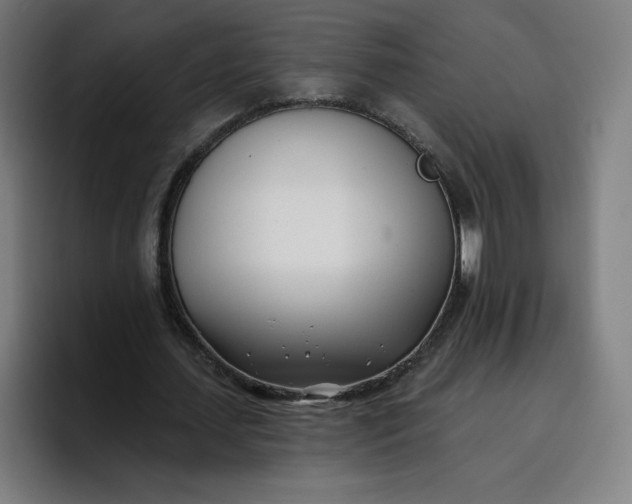 X0000096720627200802191529