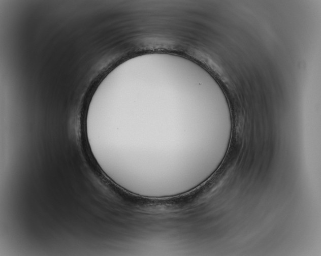 X0000096720629200802191529