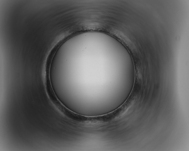 X0000096720630200802191529