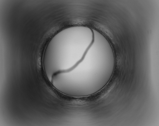 X0000096720633200802191529