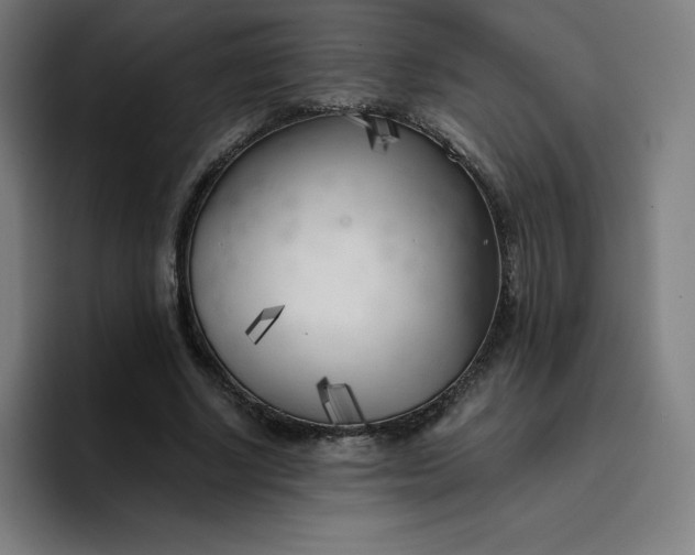 X0000096720634200802191529