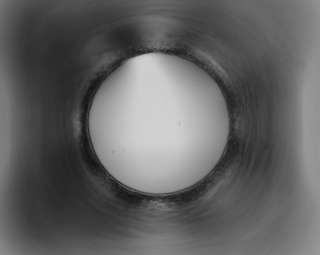 X0000096720635200802191529