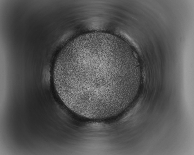 X0000096720637200802191529