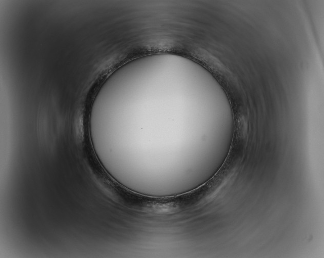 X0000096720638200802191529