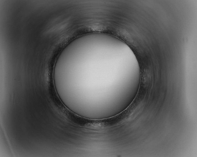 X0000096720639200802191529