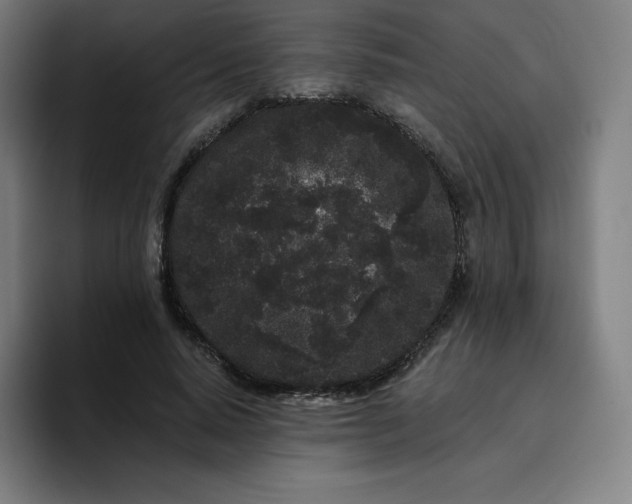 X0000096720640200802191529