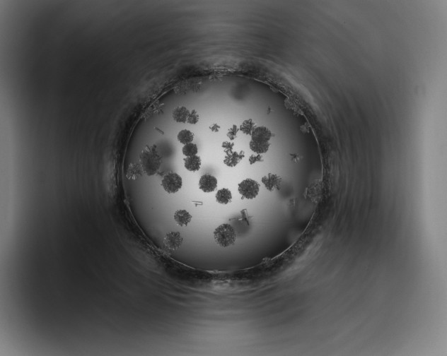 X0000096720641200802191529