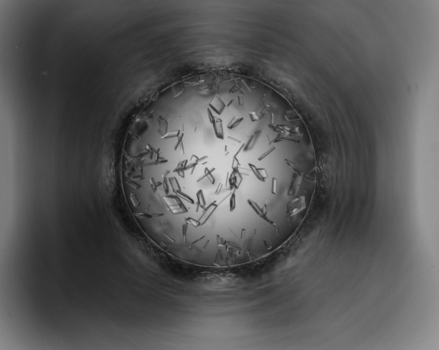 X0000096720642200802191529