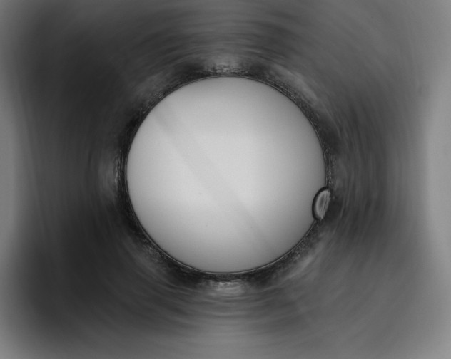 X0000096720645200802191529