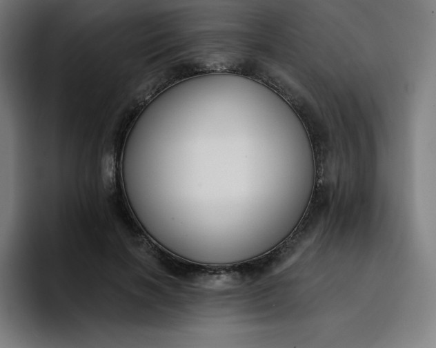 X0000096720646200802191529