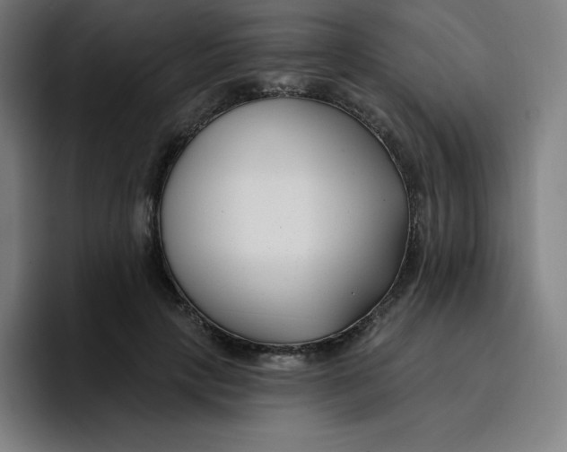 X0000096720649200802191529