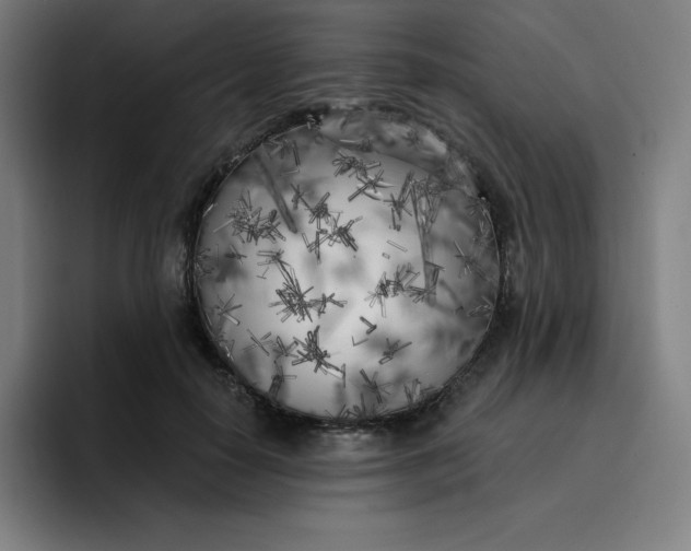 X0000096720650200802191529