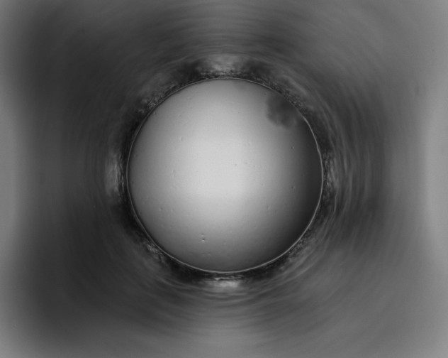 X0000096720651200802191529