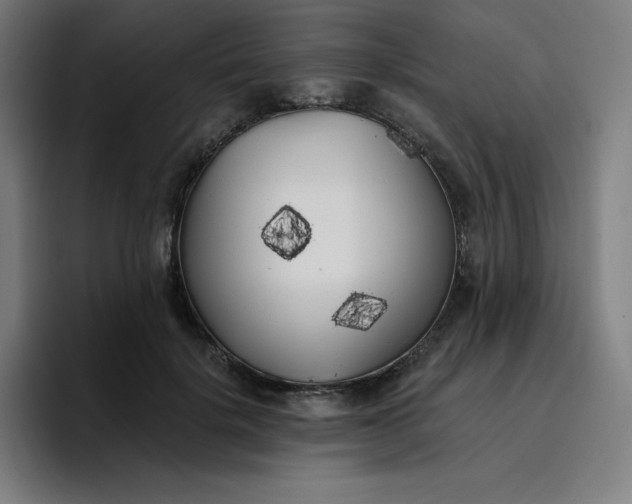 X0000096720652200802191529