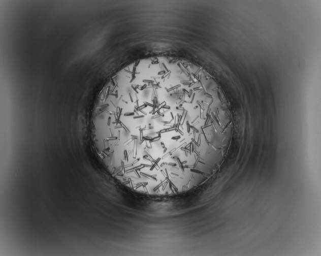 X0000096720653200802191529