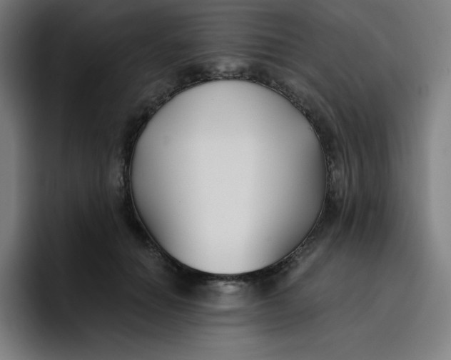 X0000096720654200802191529