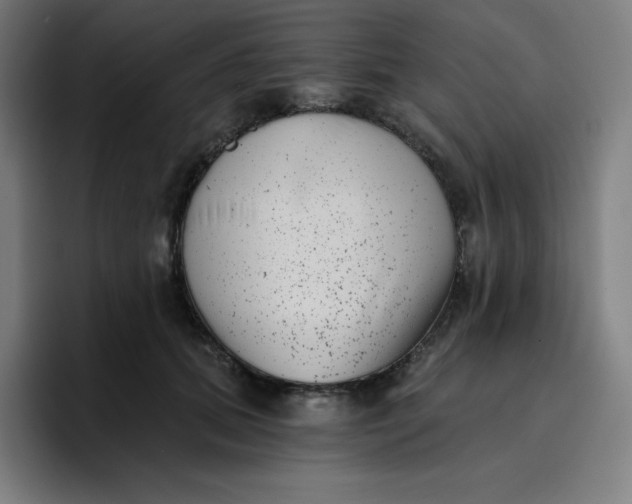 X0000096720655200802191529