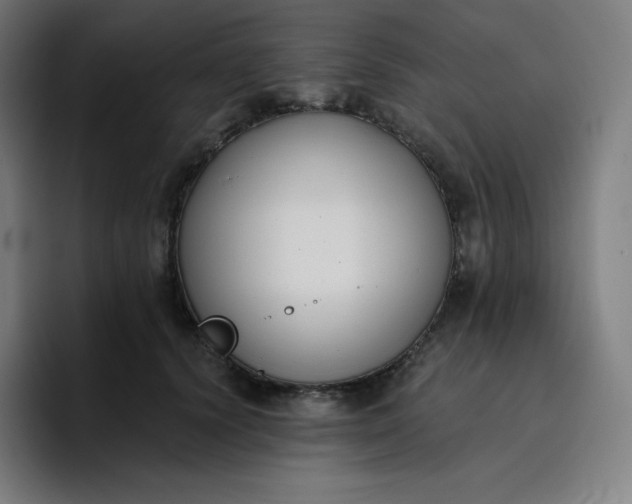 X0000096720656200802191529