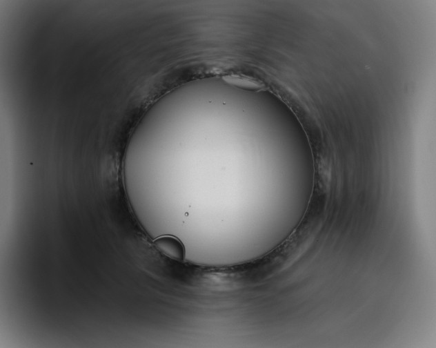 X0000096720657200802191529