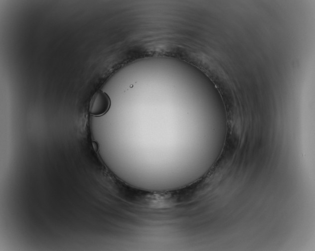 X0000096720660200802191529