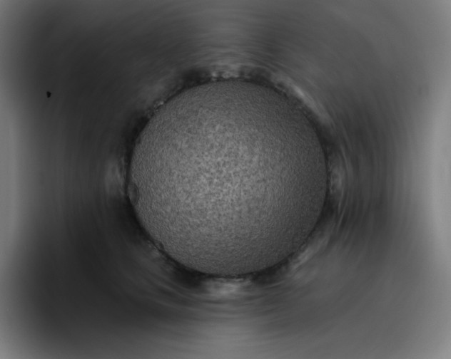 X0000096720661200802191529