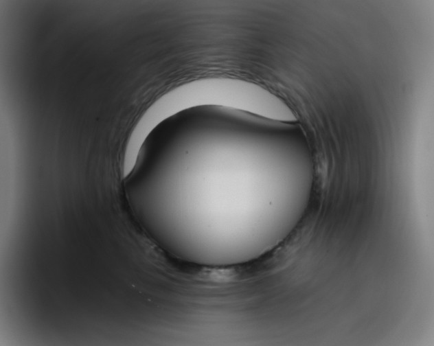 X0000096720665200802191529