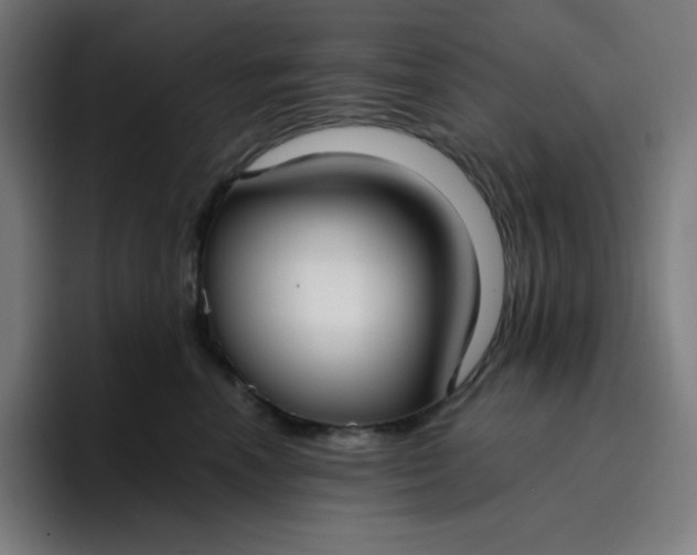 X0000096720666200802191529